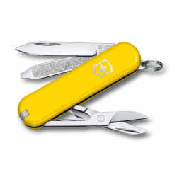 Многофункциональный складной нож-брелок Victorinox Classic SD Colors Sunny Side 0.6223.8G